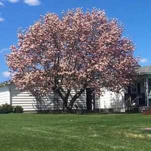 Meet your Posher, Jacqueline